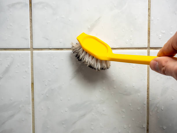 Certified Mold Removal in Metter, GA