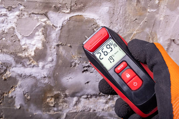 Best Home Mold Removal  in Metter, GA