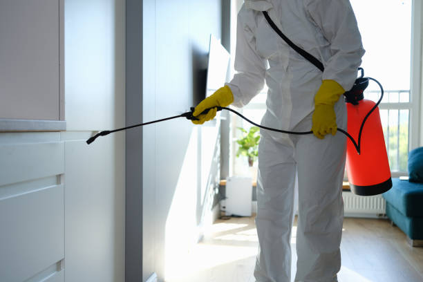 Best Certified Mold Removal  in Metter, GA