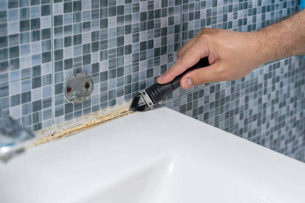 Best Mold Remediation  in Metter, GA