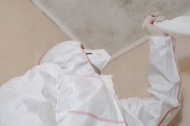 Best Residential Mold Removal  in Metter, GA