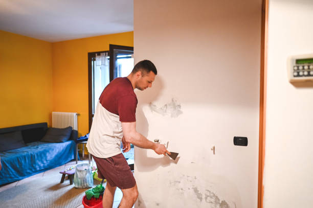 Best Mold Removal and Inspection  in Metter, GA