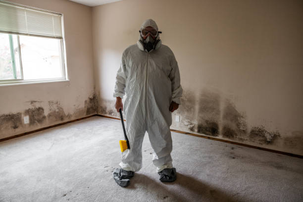 Best Mold Testing  in Metter, GA